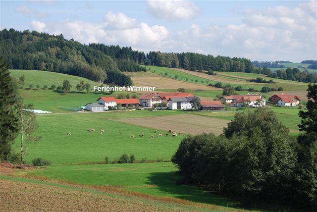 Bauernhof (3).jpg